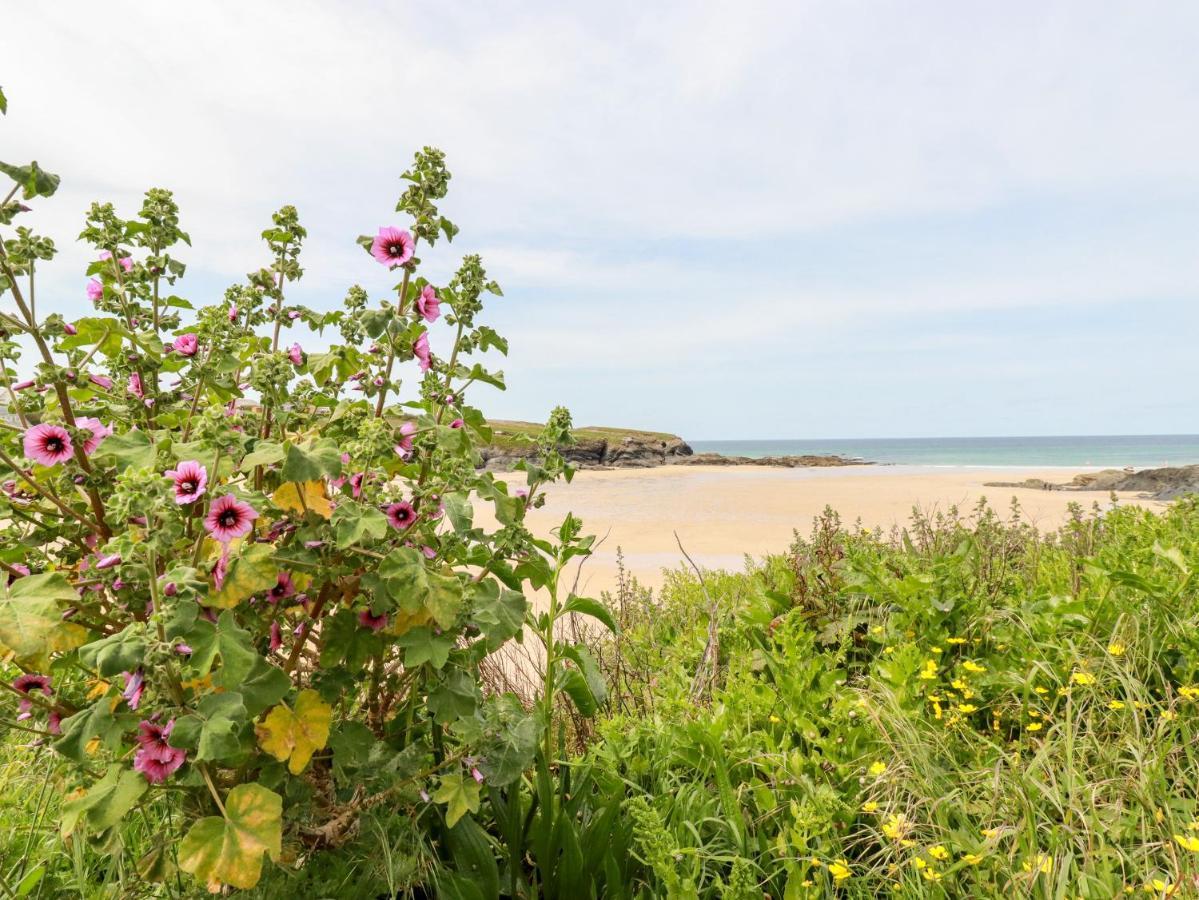 Constantine Bay Cottage Padstow Kültér fotó